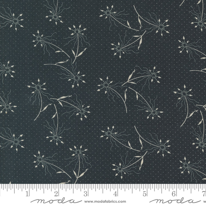 Kansas Troubles Quilters - Blackbird's Nest Dandelions Black puuvillakangas, jossa beesiä voikukkakuvioita ja pieniä pilkkuja mustan pohjalla.