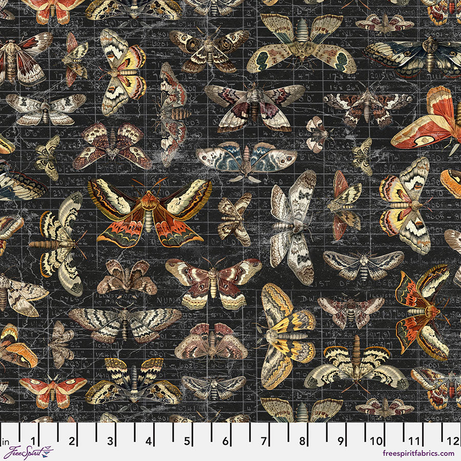 Tim Holtz - Eclectic Elements/Palette Seasonal Halloween Moths Study PWTH333.HALLOWEEN puuvillakangas
