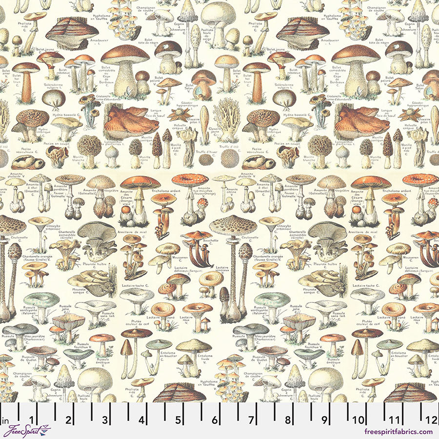 Tim Holtz - Eclectic Elements/Palette Orange Toadstools -puuvillakangas, sieniprintti luonnollisissa ja oransseissa sävyissä vaalealla taustalla.
