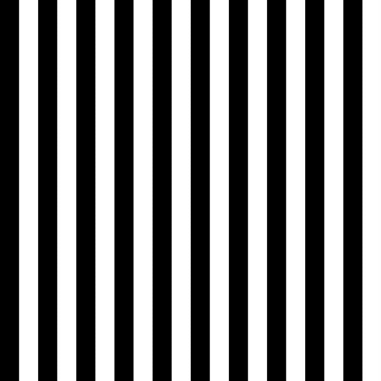 Tula Pink Linework Tent Stripe Paper - mustavalkoraidallinen 100% puuvillakangas, jossa ½ tuuman raidat. Täydellinen kanttaukseen ja moderniin tilkkutöihin.