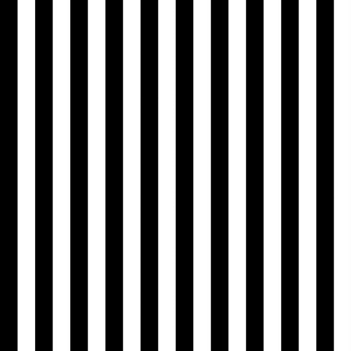 Tula Pink Linework Tent Stripe Paper - mustavalkoraidallinen 100% puuvillakangas, jossa ½ tuuman raidat. Täydellinen kanttaukseen ja moderniin tilkkutöihin.