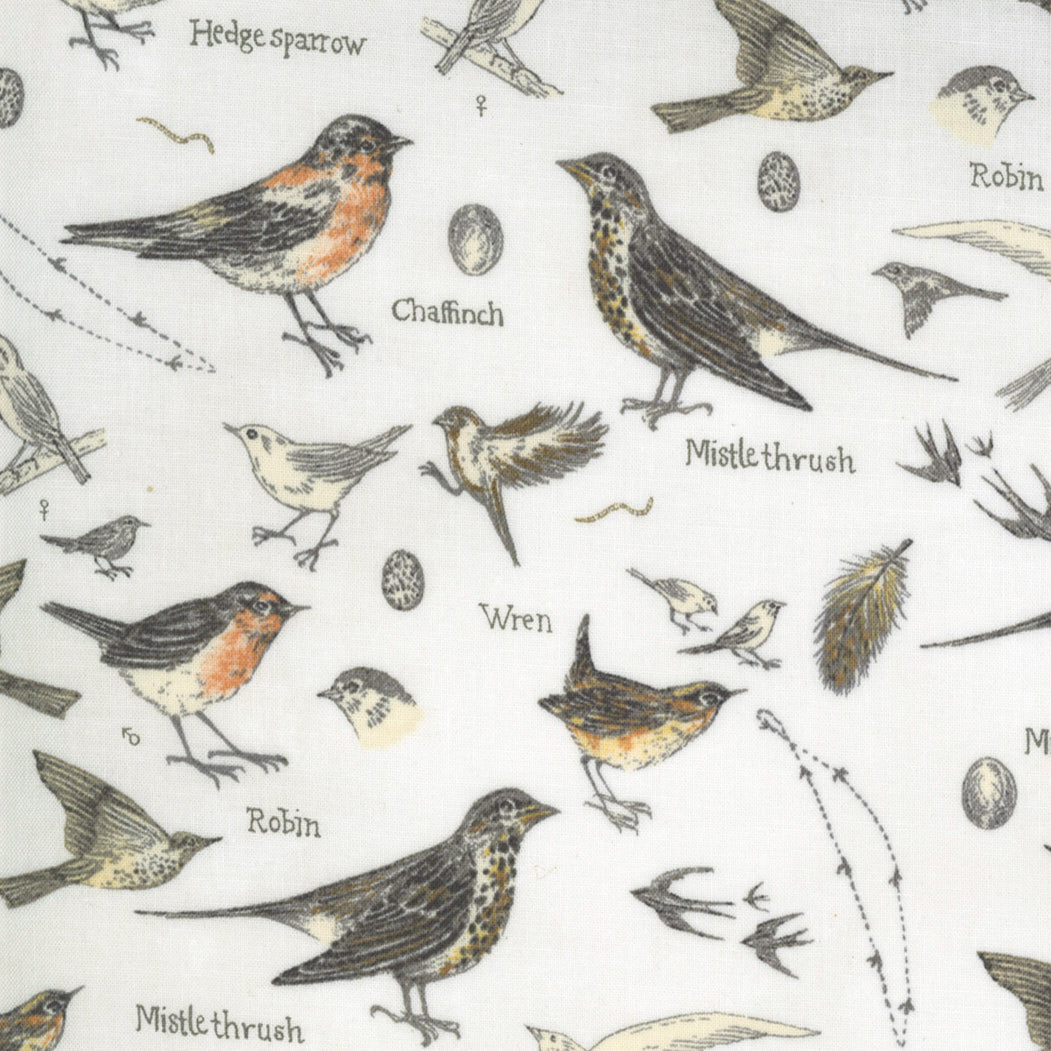 Janet Clare Botanicals Birds Parchment 16910-11 puuvillakangas