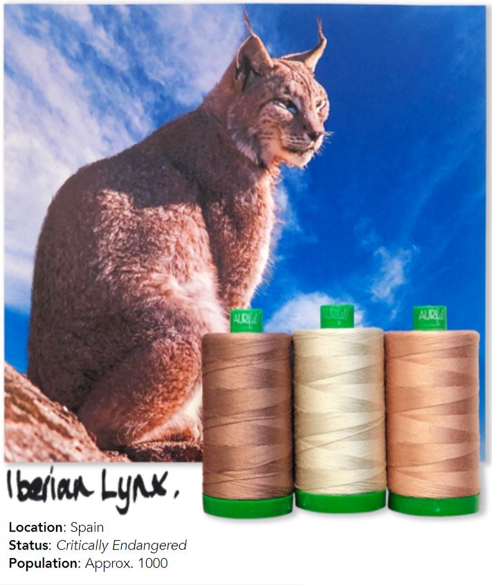 Aurifil Color Builders 2021 - Iberianilves ompelulankapaketti