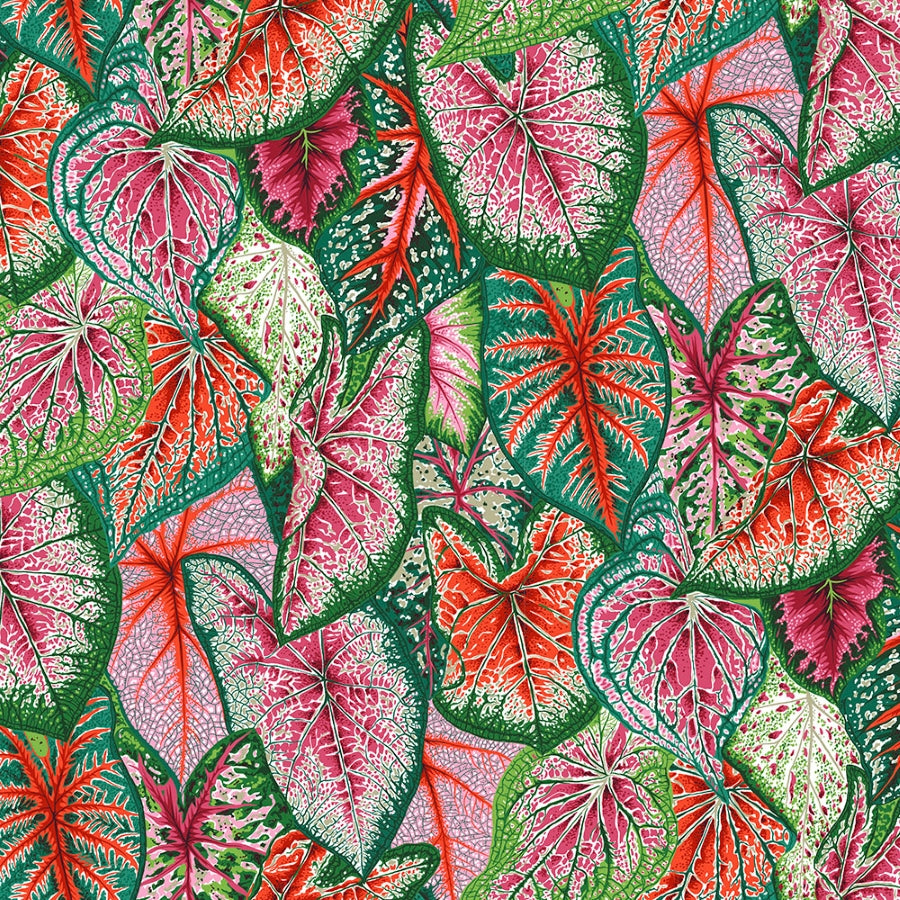 Kaffe Fassett, August 2021 - Caladiums, Bright PWPJ108.BRIGHT puuvillakangas