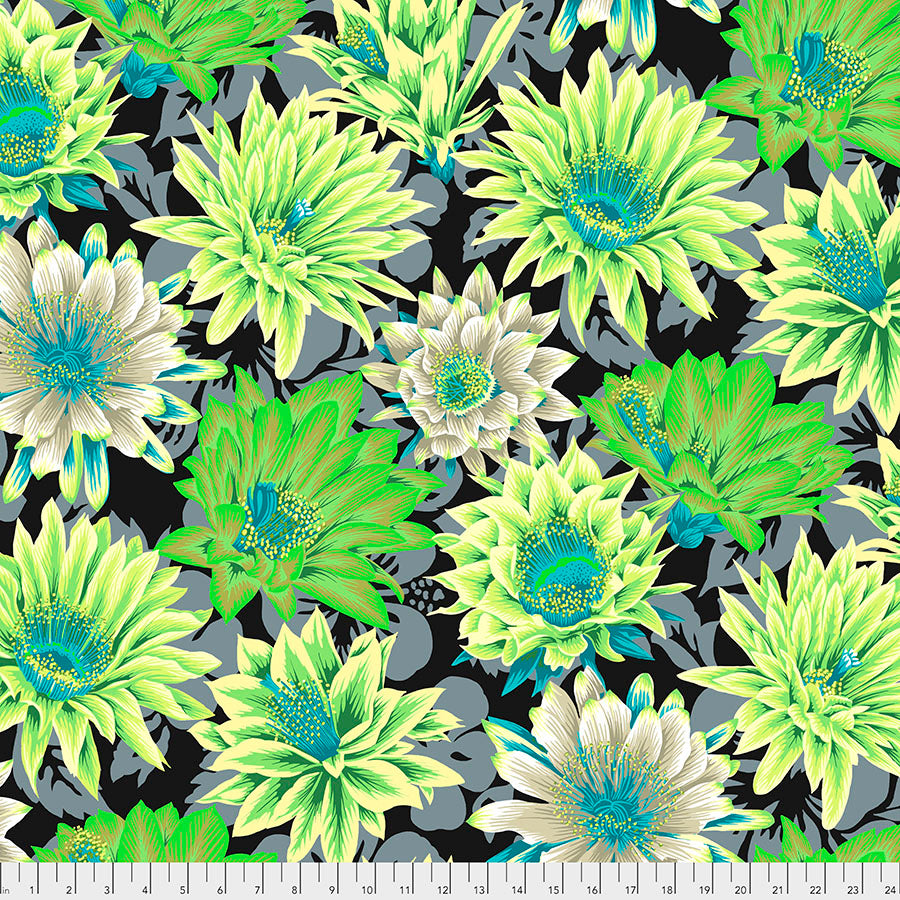 Kaffe Fassett Spring 2021 Cactus Flower Contrast puuvillakangas