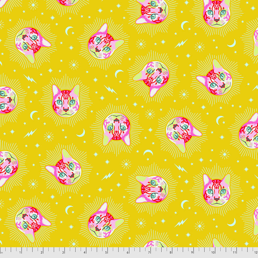 Tula Pink, CuriouserCuriouser, Chesire PWTP164WONDER puuvillakangas