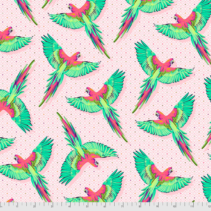 Tula Pink, Daydreamer, Macaw Ya Later Cloud PWTP170.DRAGONFRUIT puuvillakangas