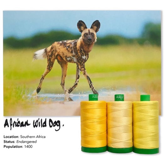 Aurifil Color Builders 2021 - Hyeenakoira ompelulankapaketti