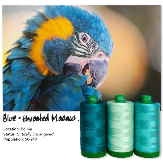 Aurifil Color Builders 2021 - Sinikurkkuara ompelulankapaketti