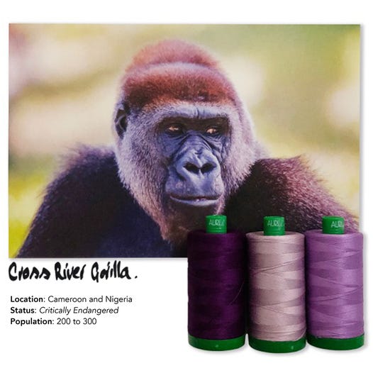 Aurifil Color Builders 2021 - G.Gorilla diehli ompelulankapaketti