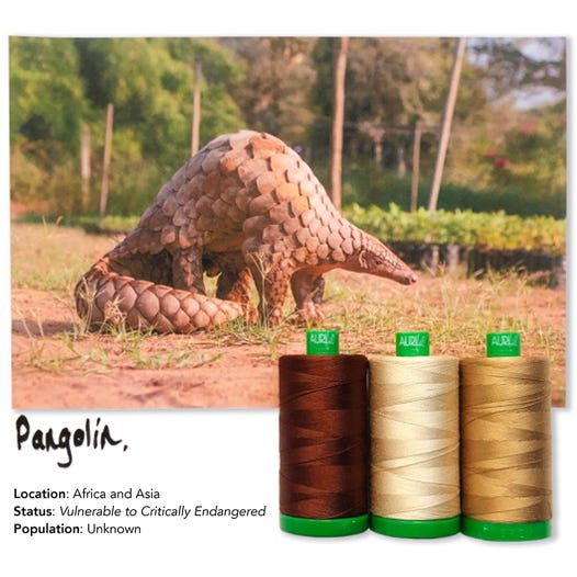 Aurifil Color Builders 2021 - Muurahaiskäpy ompelulankapaketti