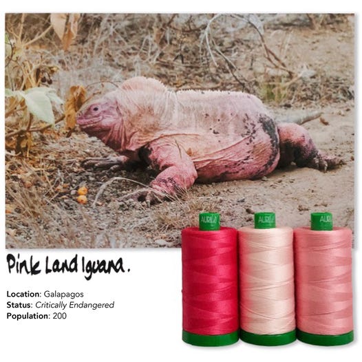 Aurifil Color Builders 2021 - Pinkki Iguana ompelulankapaketti