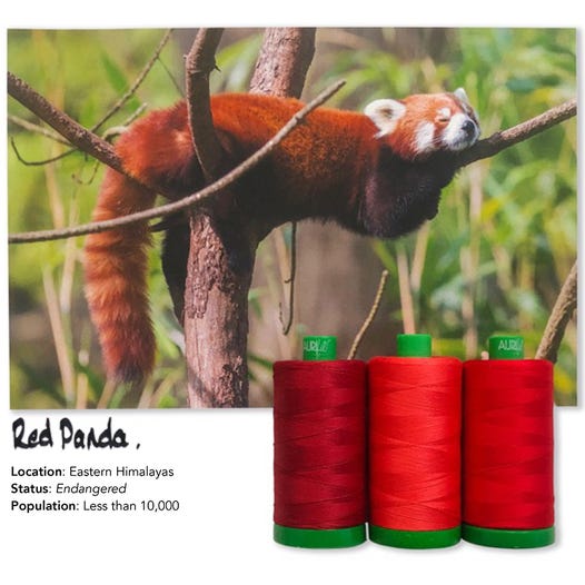 Aurifil Color Builders 2021 - Kultapanda ompelulankapaketti