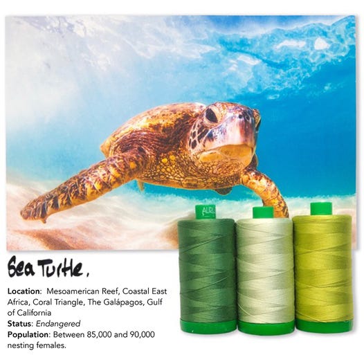 Aurifil Color Builders 2021 - Merikilpikonna ompelulankapaketti