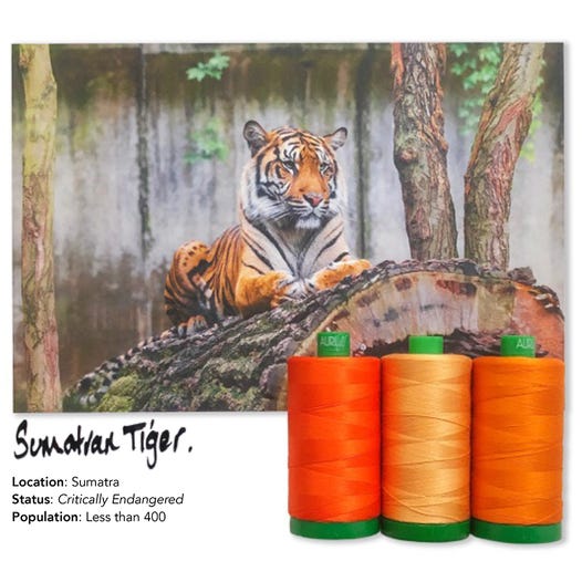 Aurifil Color Builders 2021 - Sumatrantiikeri ompelulankapaketti