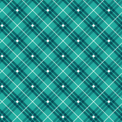 Bias Plaid Basics