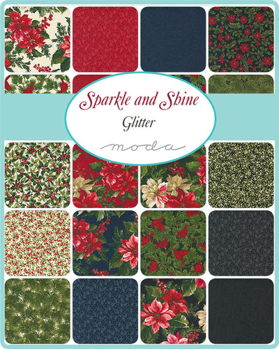 Sparkle and Shine Glitter