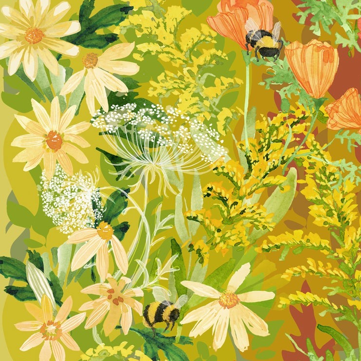 Robin Pickens - Wild Blossoms 48730-11 Rainbow puuvillakangas
