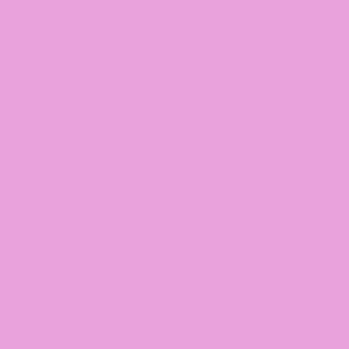 Tula Pink Solids - Sweet Pea CSFSESS.SWEET puuvillakangas