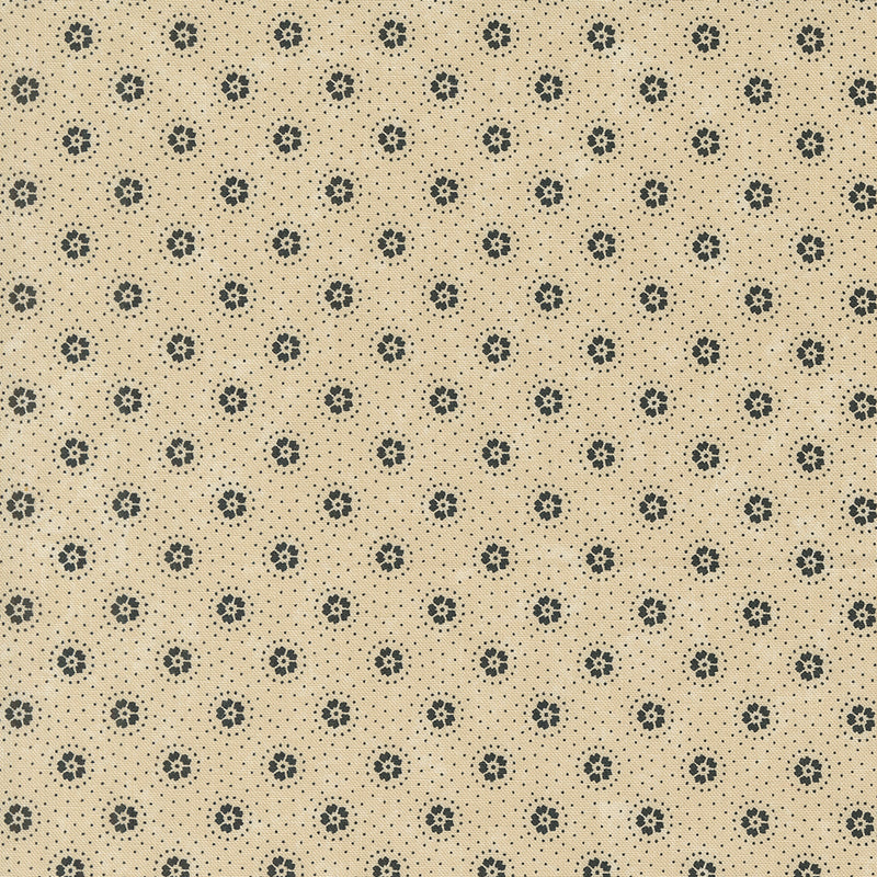 Kansas Troubles Quilters - Blackbird's Nest Daisies and Dots Tan puuvillakangas, jossa mustia kukkakuvioita ja pieniä pilkkuja beesin pohjalla.