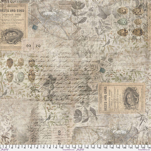 Tim Holtz, Foundations Eggs and Nests Multi PWTH0318.MULT puuvillakangas