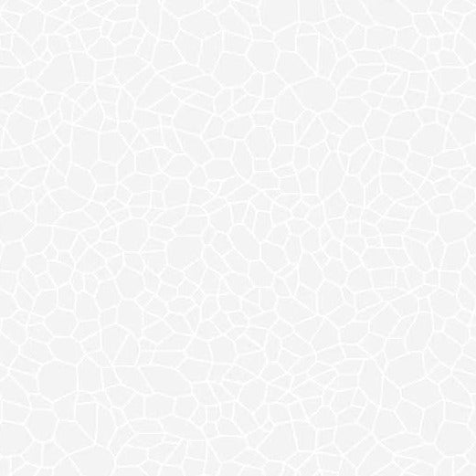Ramblings RA12-804W White, valkoinen ristikkokuvioinen tone-on-tone puuvillakangas