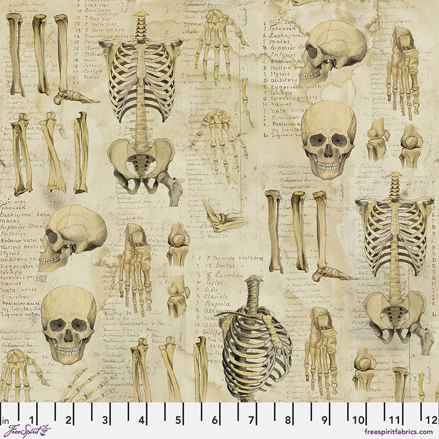 Tim Holtzin Laboratory-kokoelman Anatomia-kangas, jossa on luustokuvioita ja anatomisia piirroksia. Värit ovat neutraaleja, ja kangas on puuvillaa. Tuotteen SKU: PWTH181.NEUTRAL, tilkkunen.com