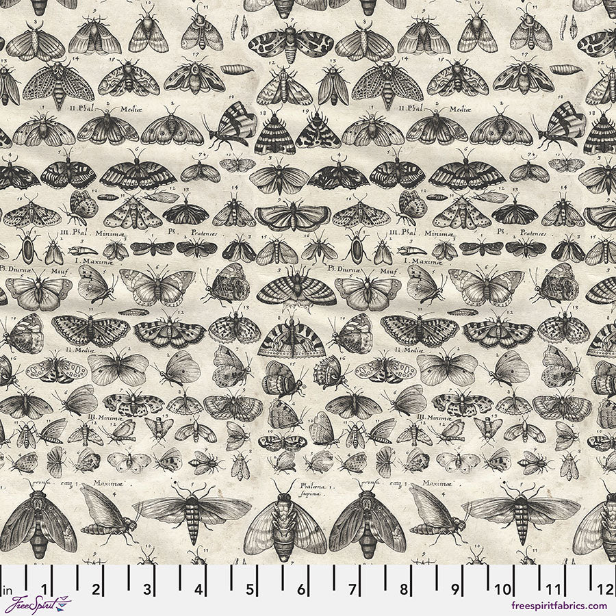 Tim Holtz - Eclectic Elements/Palette Charcoal Moths -puuvillakangas,  tummia  yökkösiä, luonnonvalkoisella  taustalla