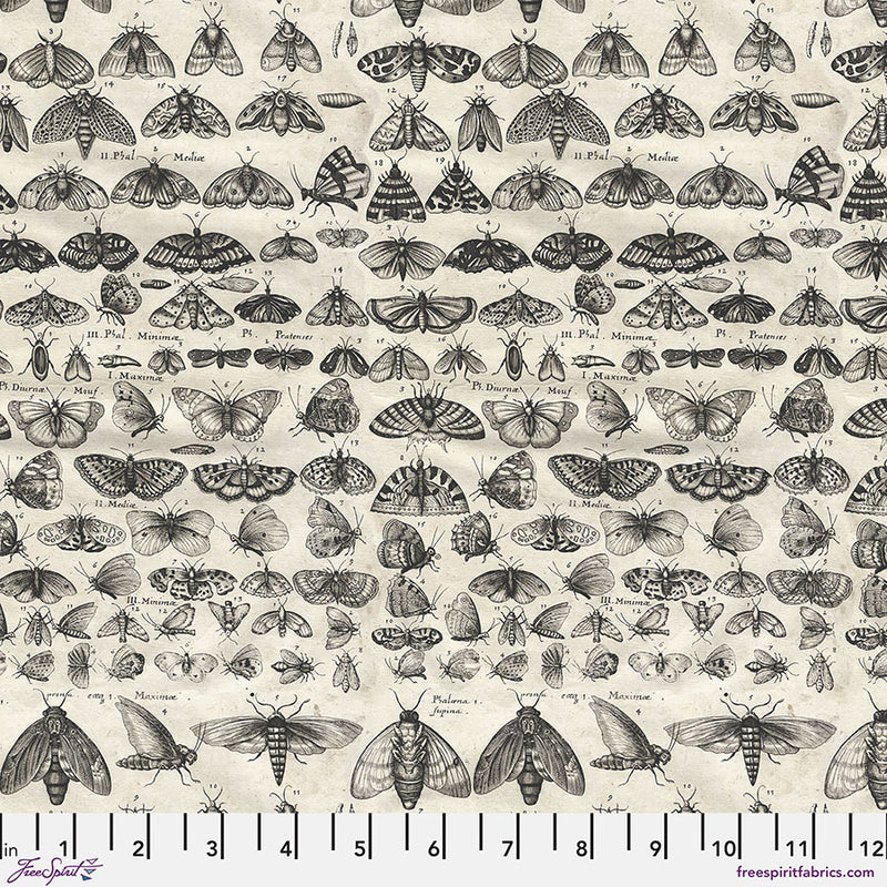 Tim Holtz - Eclectic Elements/Palette Charcoal Moths -puuvillakangas,  tummia  yökkösiä, luonnonvalkoisella  taustalla