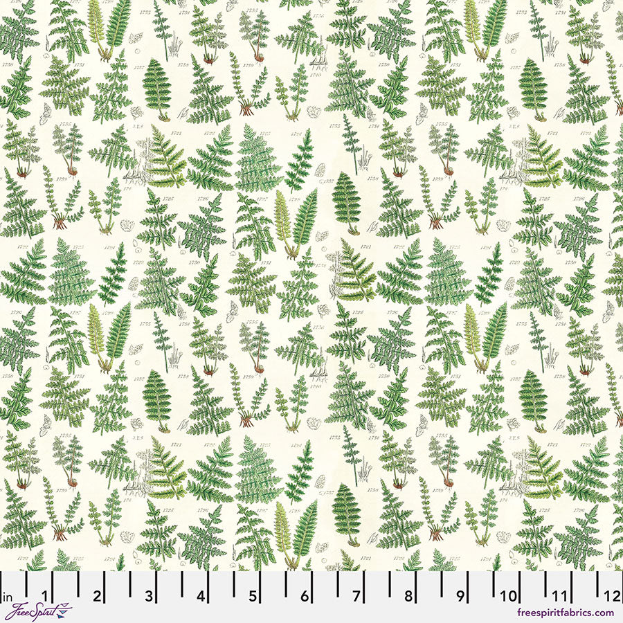 Vaalealla pohjalla saniaisia esittävä Tim Holtzin Eclectic Elements/Palette Green Ferns -puuvillakangas, joka on osa Free Spirit Fabrics -valikoimaa.