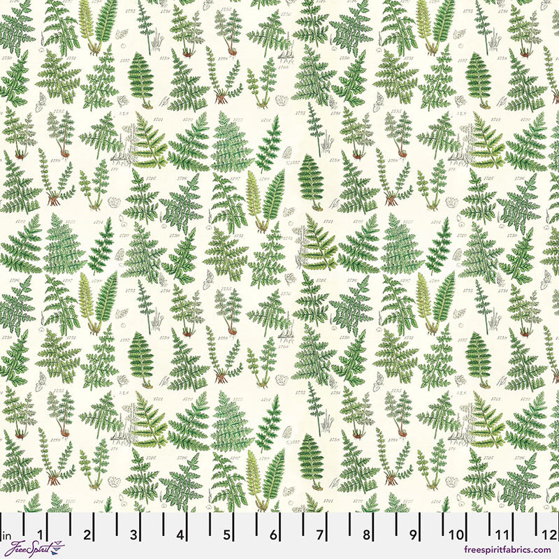 Vaalealla pohjalla saniaisia esittävä Tim Holtzin Eclectic Elements/Palette Green Ferns -puuvillakangas, joka on osa Free Spirit Fabrics -valikoimaa.