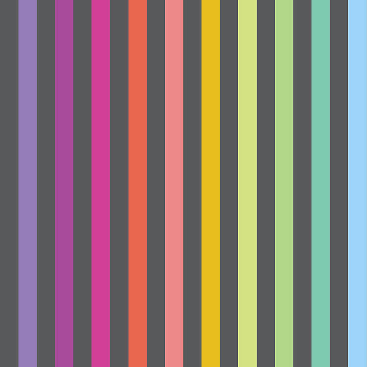 Tula Pink Disco Stripe Carbon -puuvillakangas, värikkäät raidat harmaalla taustalla.