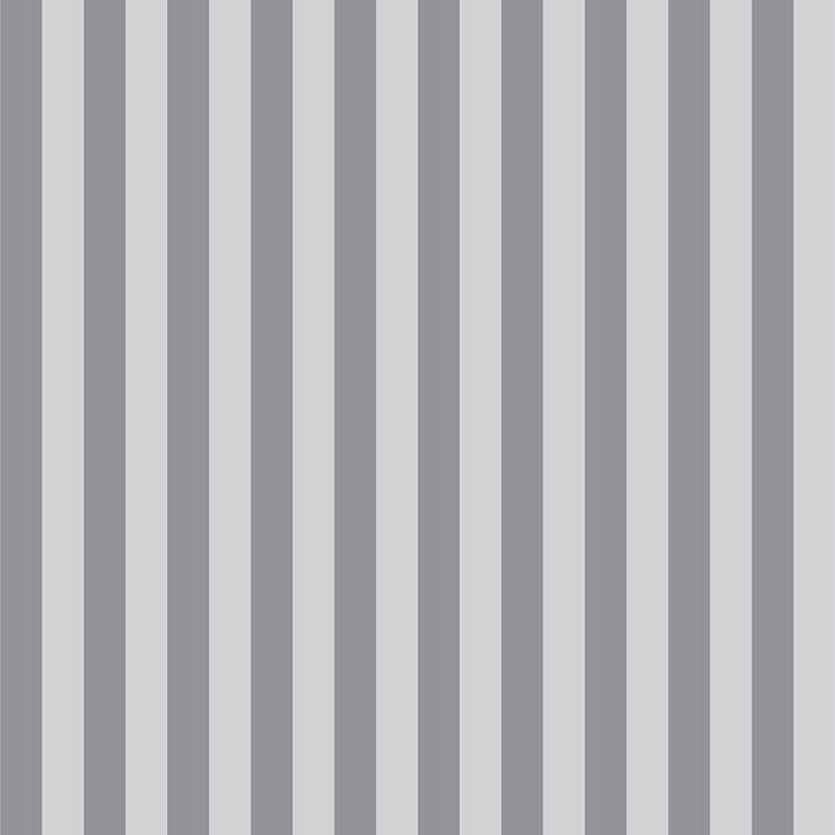 Tula Pink True Colors Tent Stripe Fog - tumman/vaaleanharmaaraidallinen 100% puuvillakangas, jossa ½ tuuman raidat. Täydellinen kanttaukseen ja moderniin tilkkutöihin.
