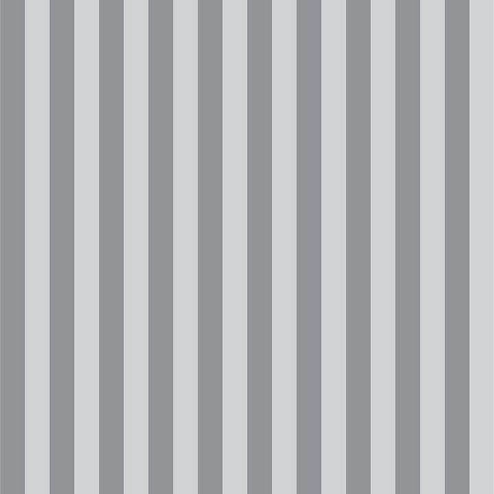 Tula Pink True Colors Tent Stripe Fog - tumman/vaaleanharmaaraidallinen 100% puuvillakangas, jossa ½ tuuman raidat. Täydellinen kanttaukseen ja moderniin tilkkutöihin.