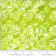 Lataa kuva Galleria-katseluun, Confection Batiks 273101-17 Lime batiikki puuvillakangas
