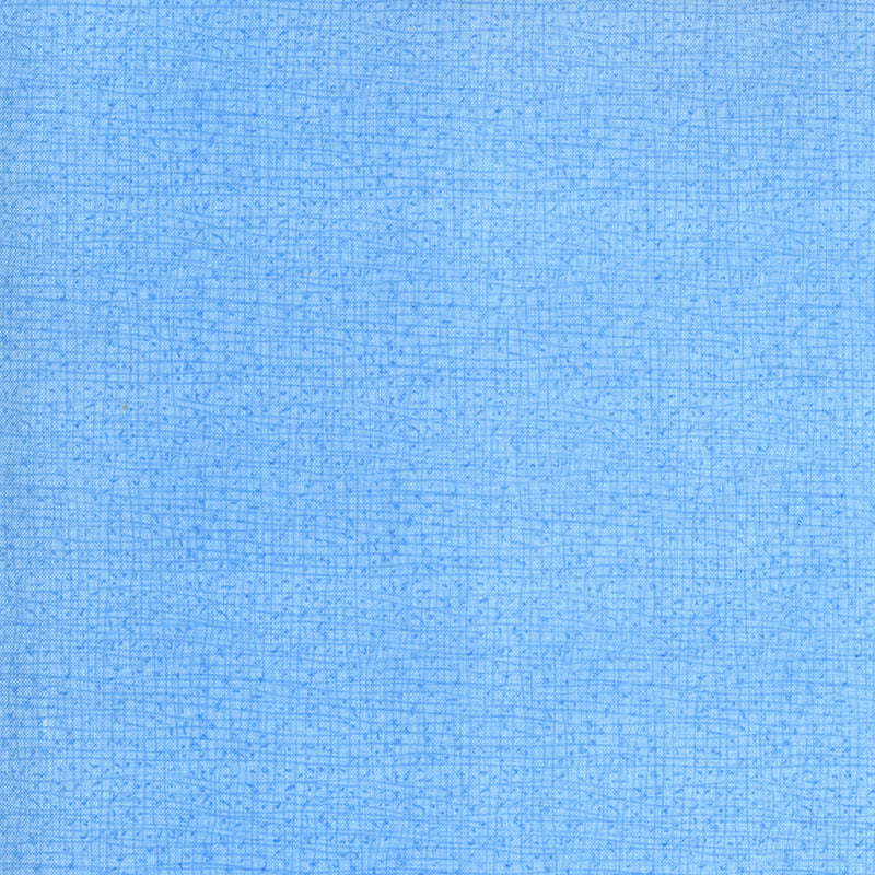 Robin Pickensin Thatched Mist -puuvillakangas, osa Cottage Bleu -kokoelmaa, tilkkutöihin ja käsitöihin.
Läheltä kuvattu Thatched-kuviointi: sinisen sävyt ja maalaisromanttinen tekstuuri.